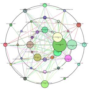 Search engine optimization careers