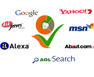 Search engine optimization case study